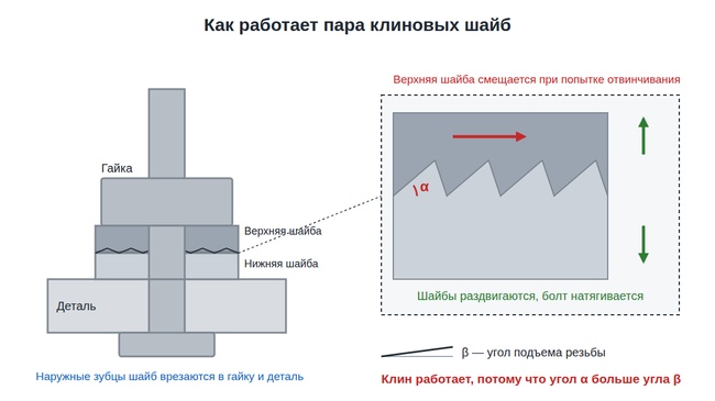 Схема клиновых стопорных шайб: угол кулачков больше угла подъема резьбы, при отвинчивании болт натягивается