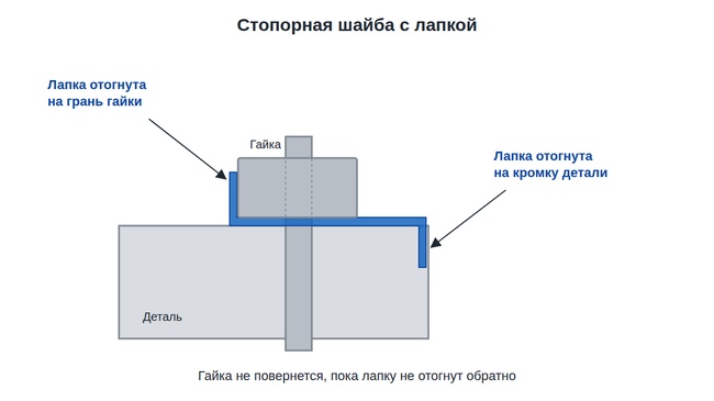 Стопорная шайба с лапкой: одна лапка отогнута на грань гайки, другая на кромку детали